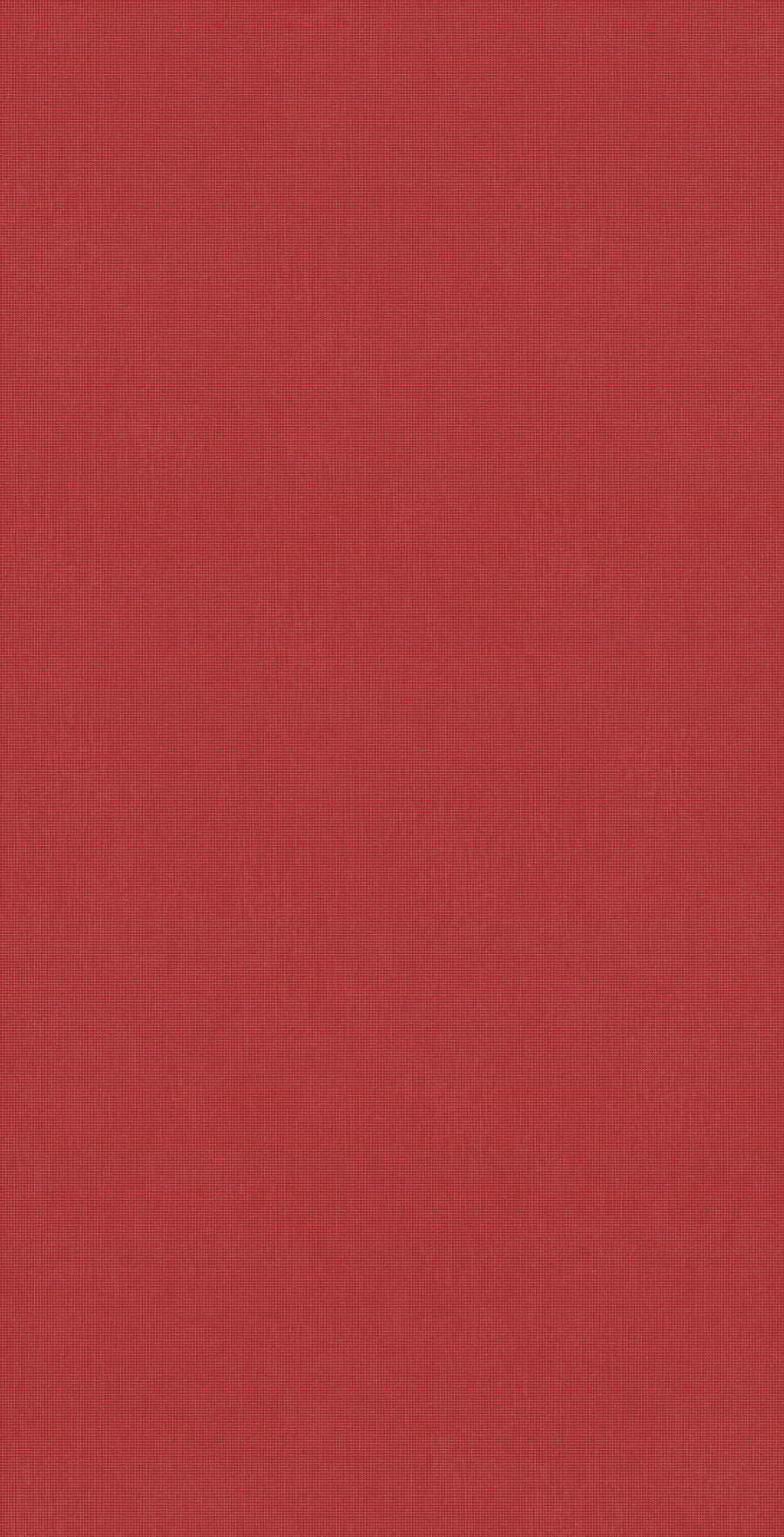 DP599 Red Net