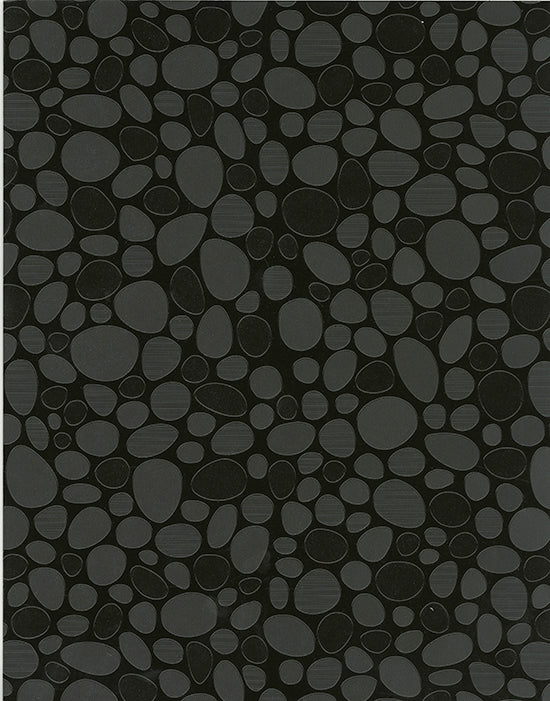 PB310 Black Pebble Beach - Disc