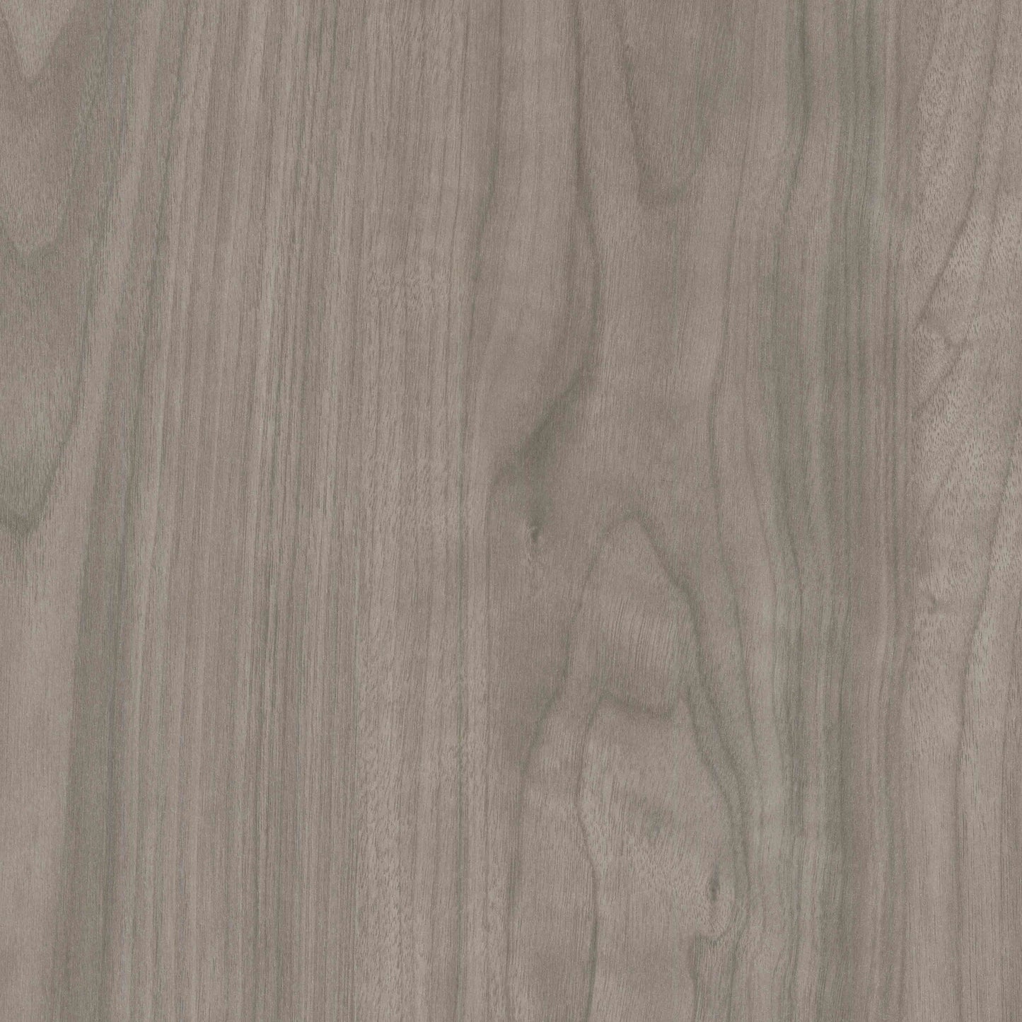 WA082 Earl Grey