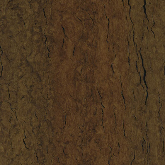 WB007 Mocha Eucalyptus