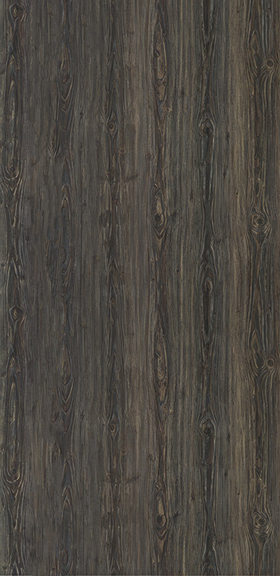 WA031 Devilish Ebony