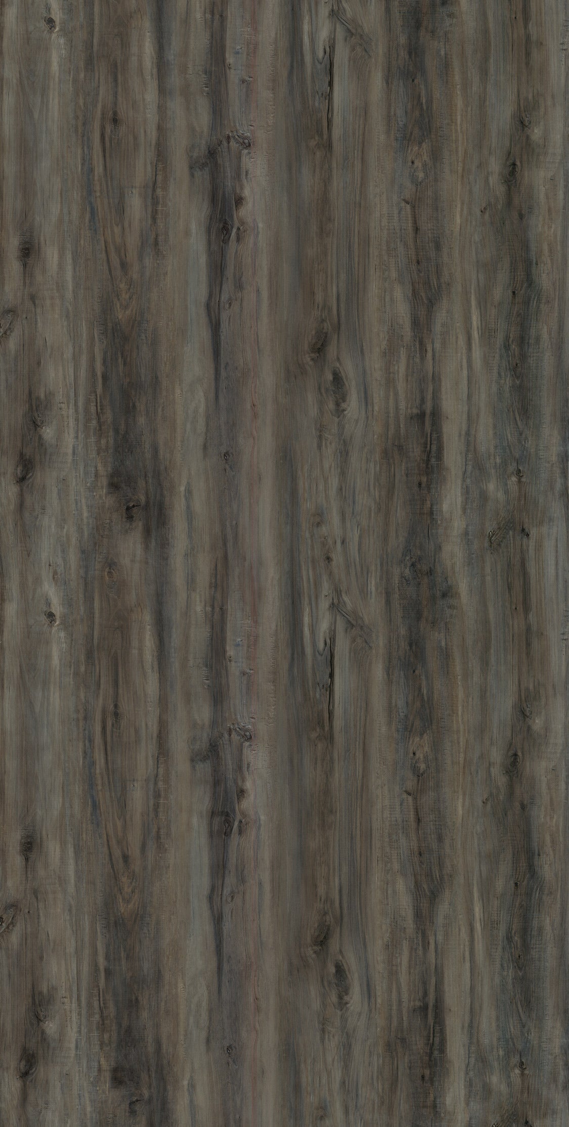 WH083 Provincial Sage