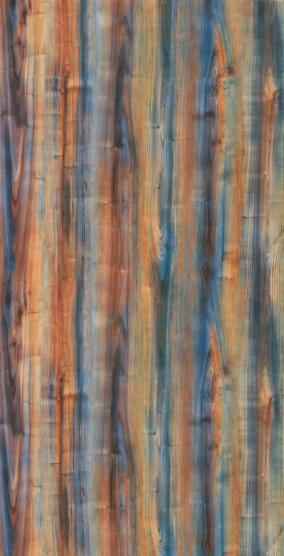 WP325 Rainbow Forest