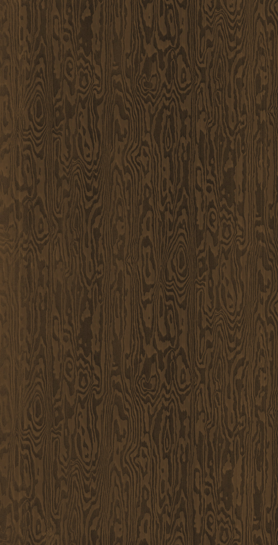WP310 Brown Odyssey