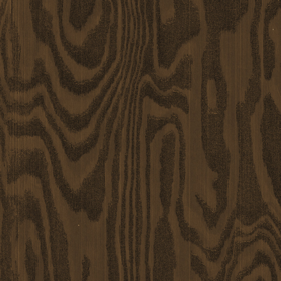 WP310 Brown Odyssey