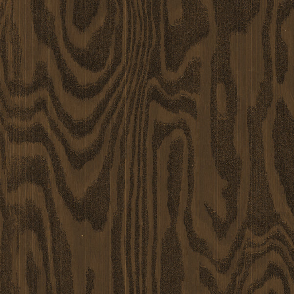 WP310 Brown Odyssey