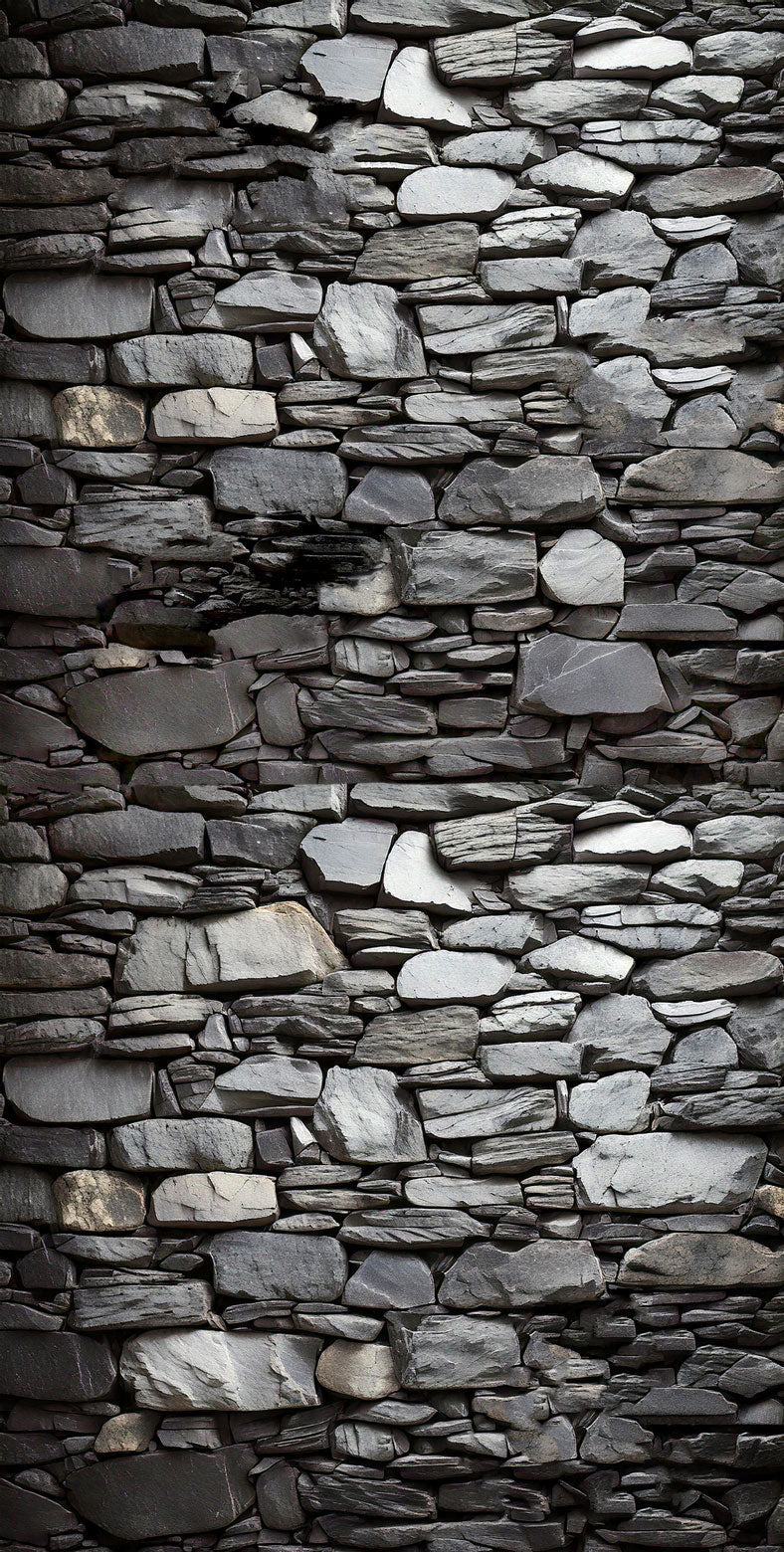 DP039 Rock Wall