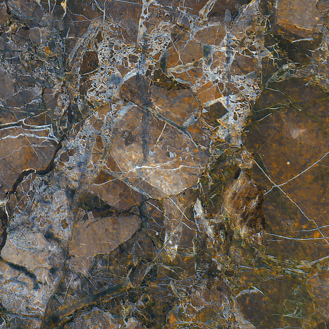 DP137 Meteorite