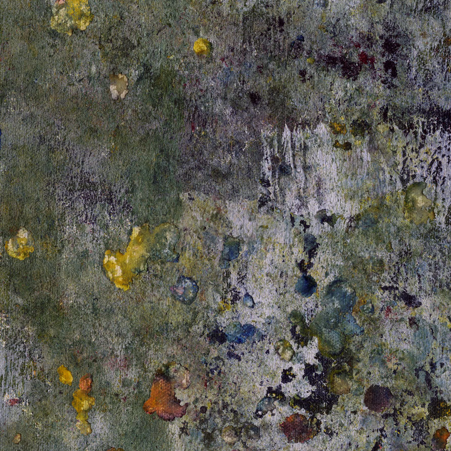 DP751 Drop Cloth