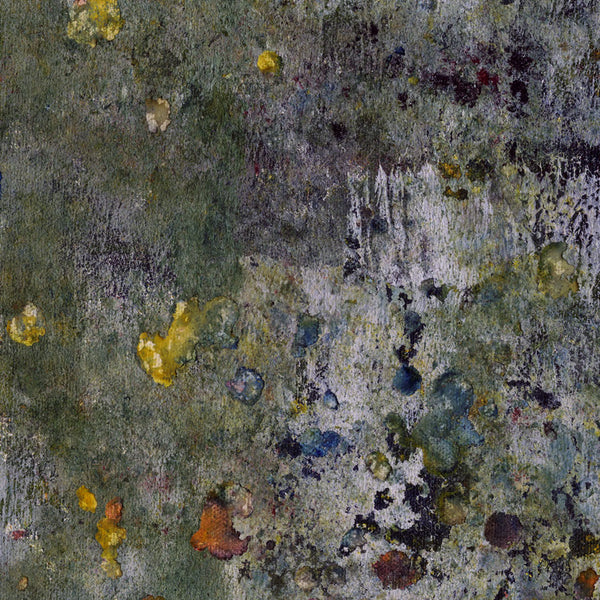DP751 Drop Cloth
