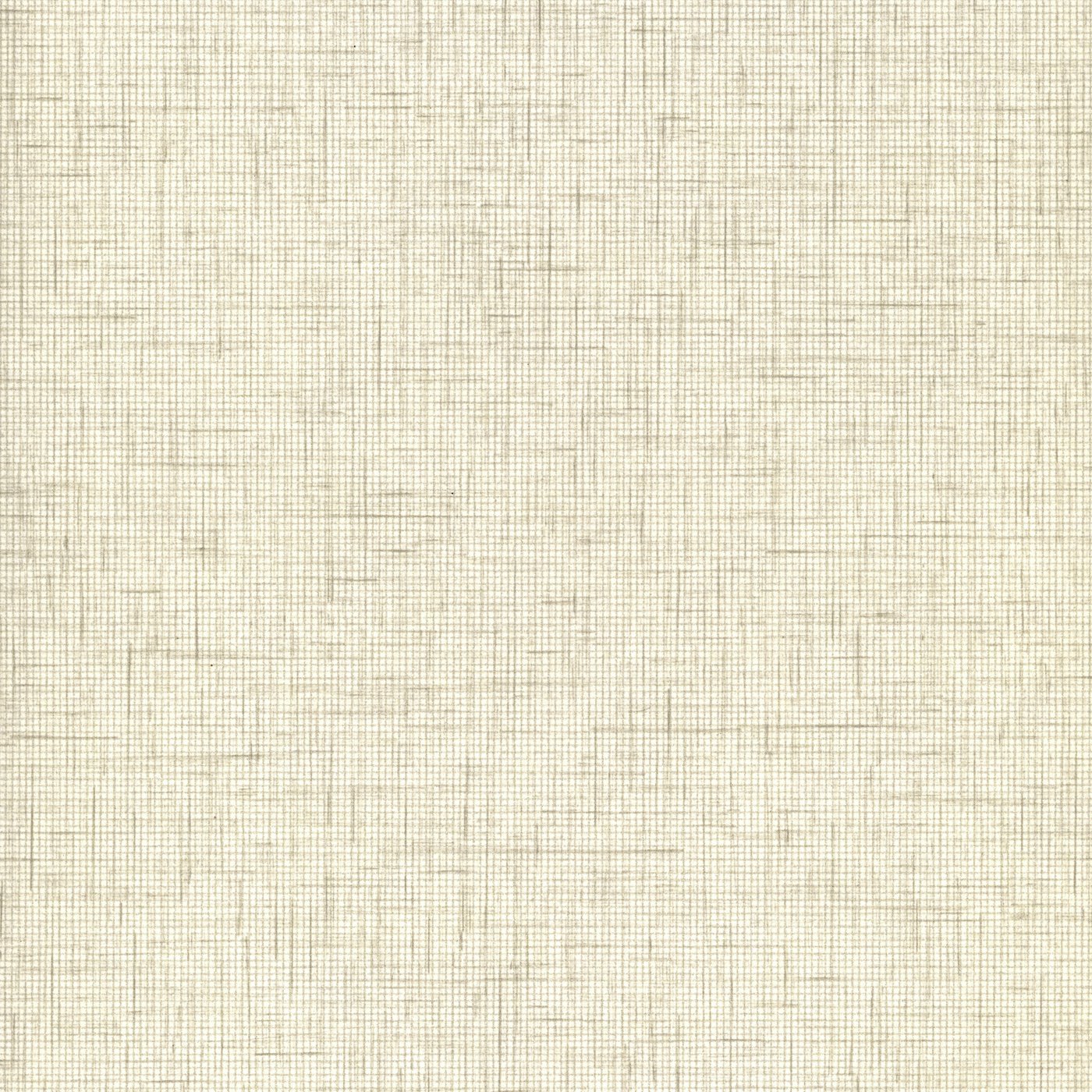 PG049 Fog Batiste