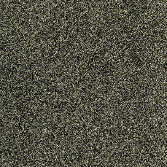 PG137 Carbon Shimmer - Disc.