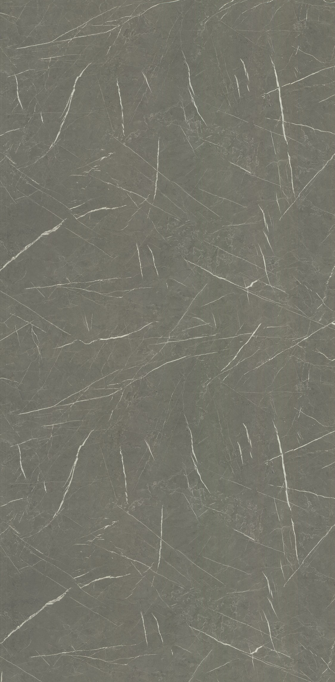 PS547 Cinder Zebra