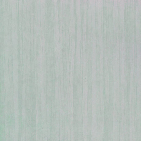 PW005 Birch Bark
