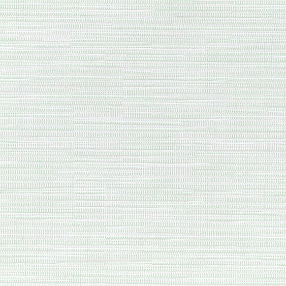 PW031 Bianco Mesh