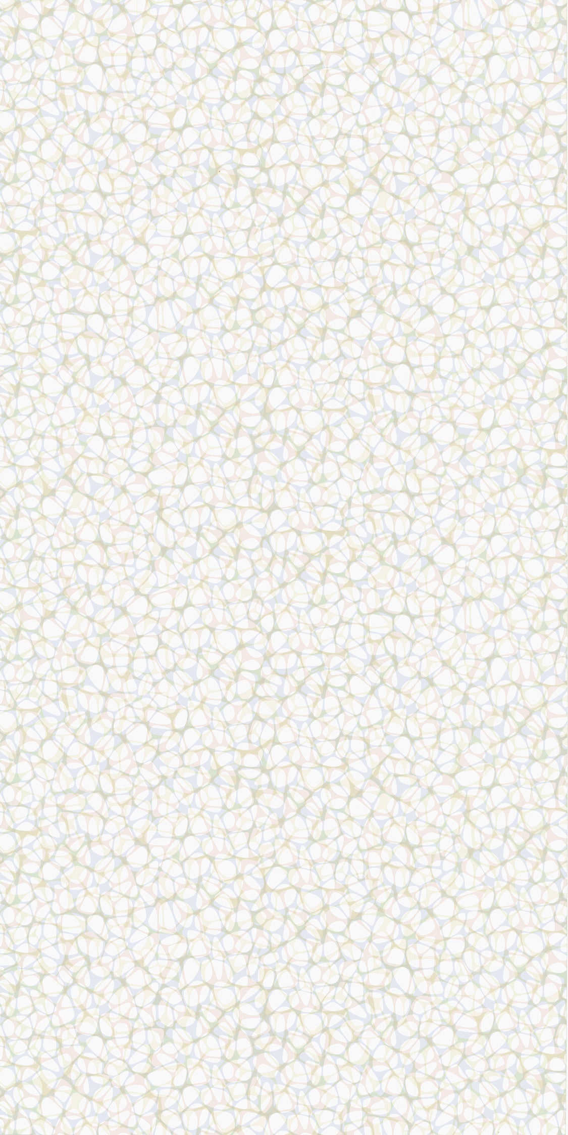 PW100 Ivory Organica