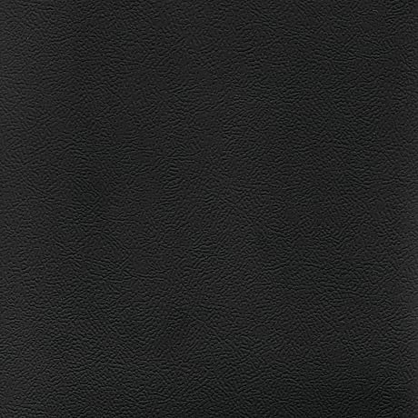 SE200 Black Leather