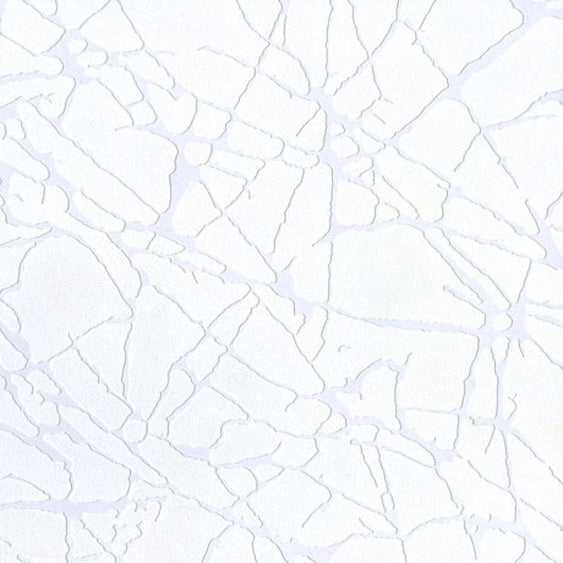 SW204 White Ice