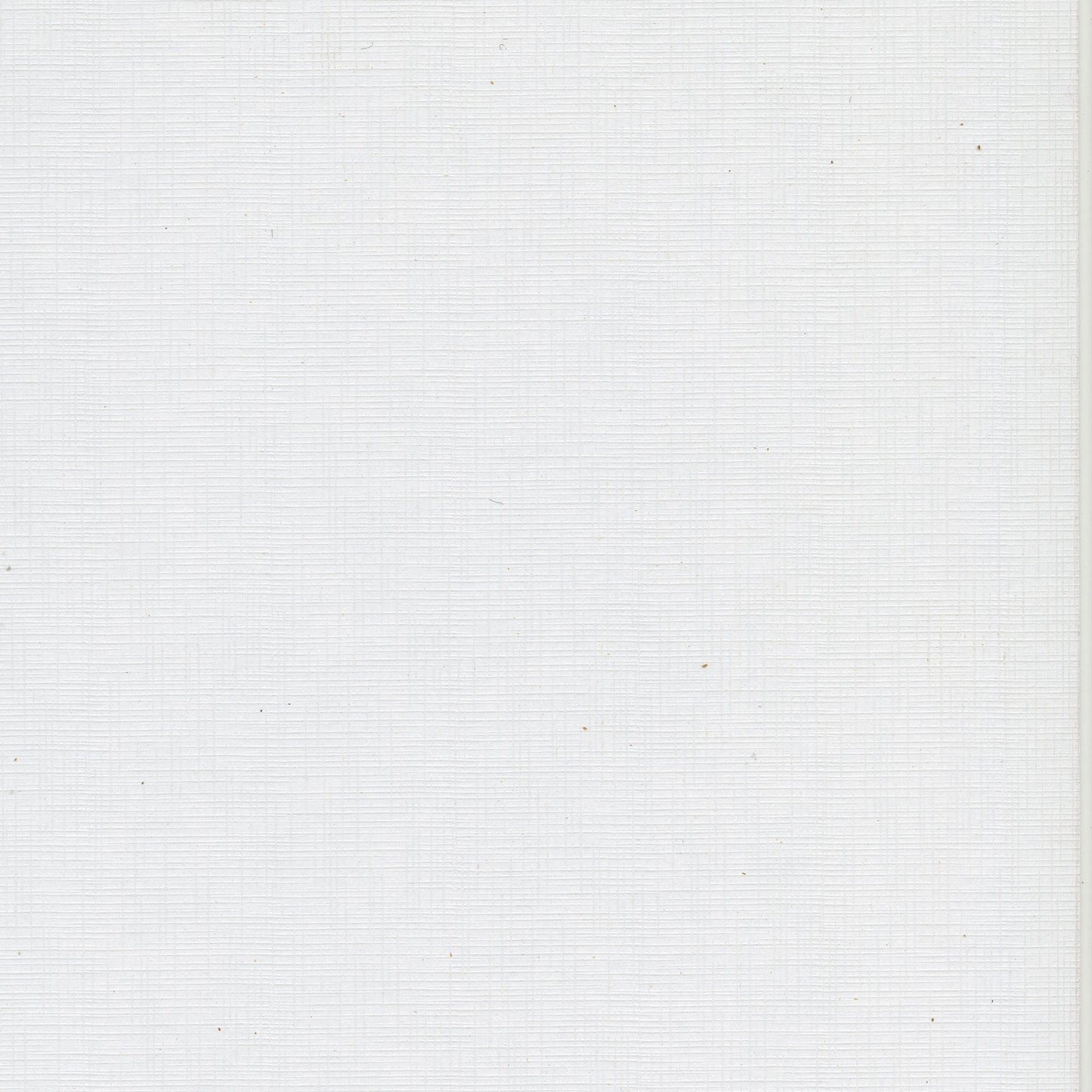 SW220 White Cross Weave - Disc.