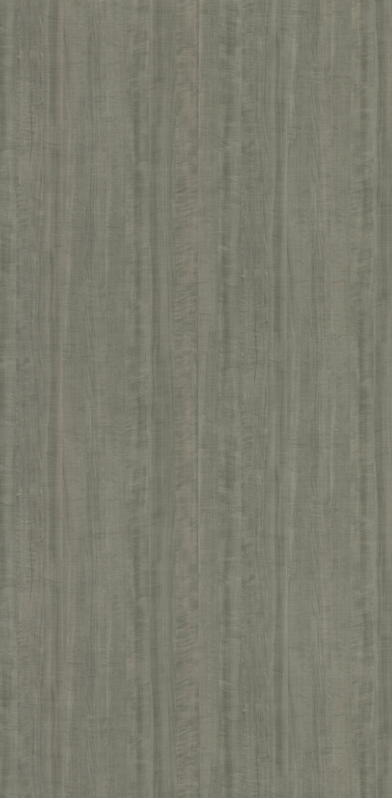 WA405 Fog Maple