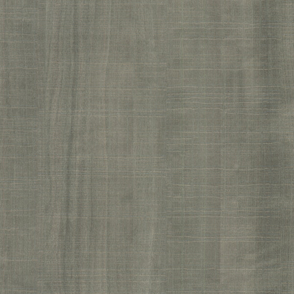 WA405 Fog Maple