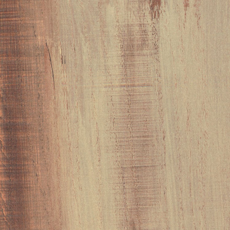 WA842 Ancient Wood Africa