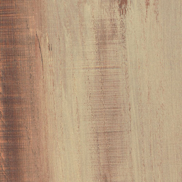 WA842 Ancient Wood Africa
