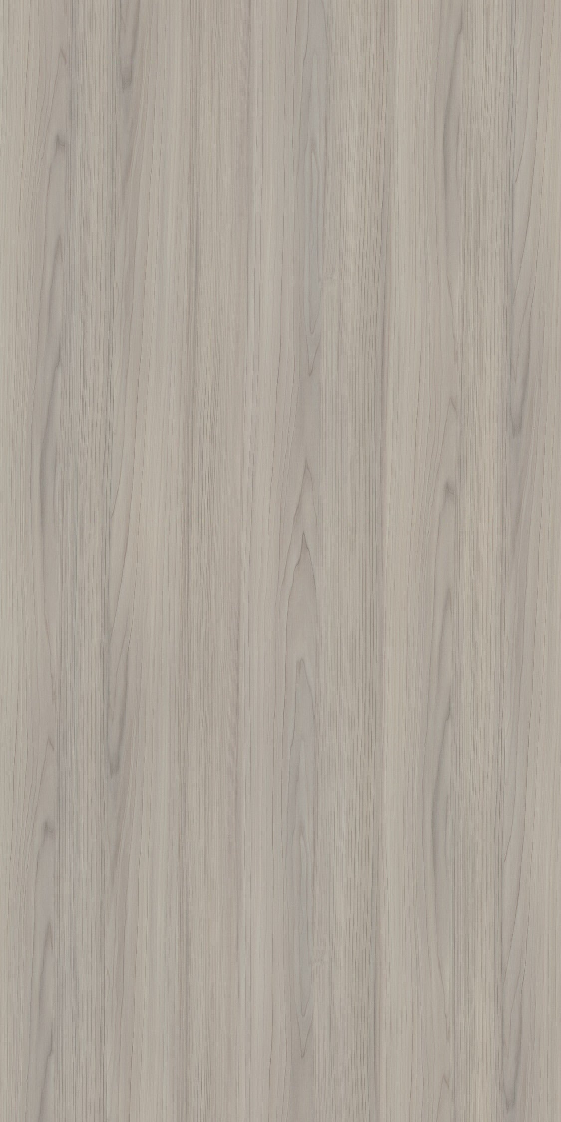 WA860 Cadiz Cherry