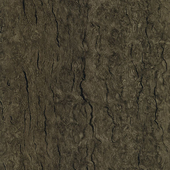 WB003 Smoke Eucalyptus