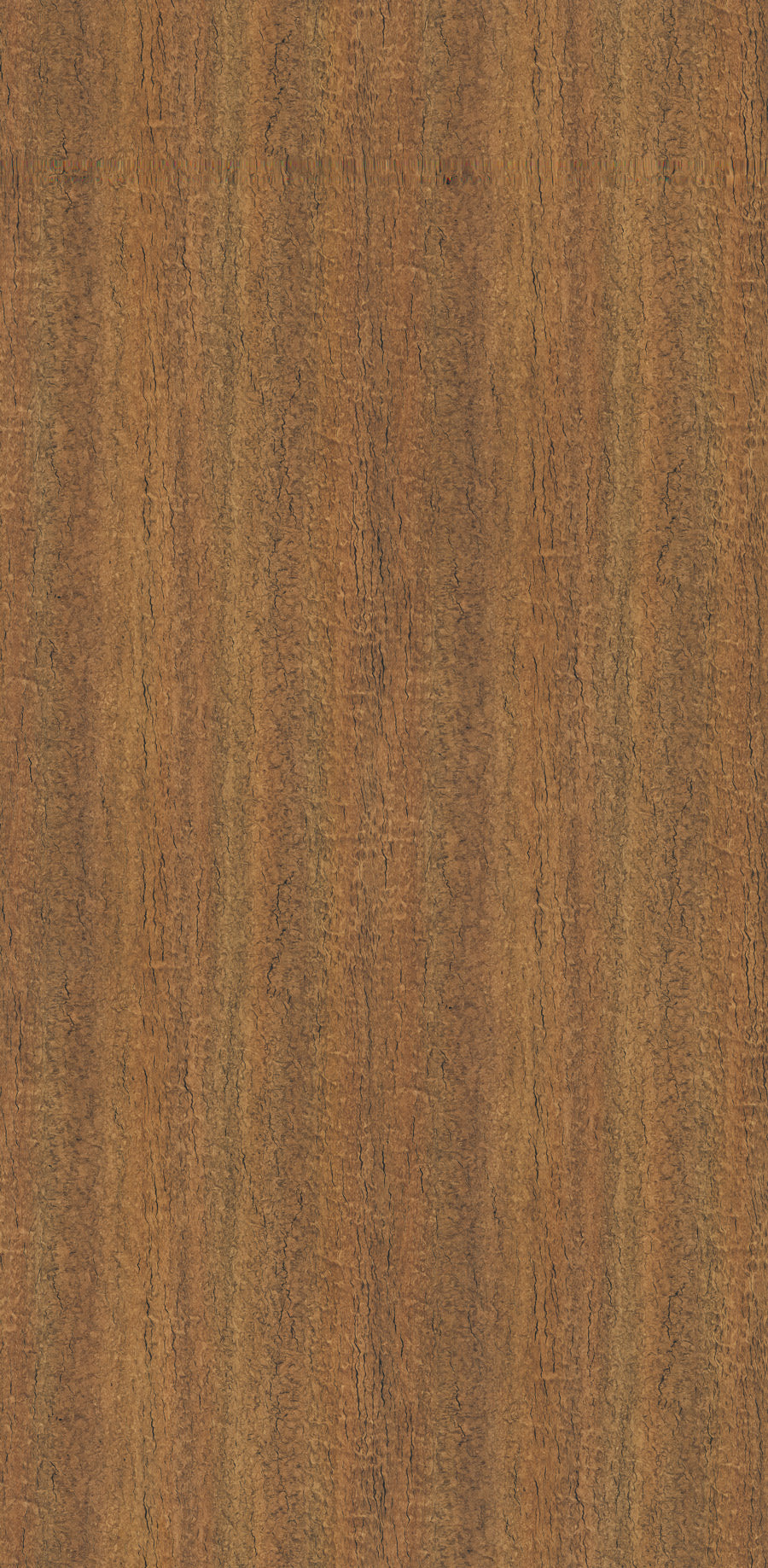 WB005 Caramel Eucalyptus
