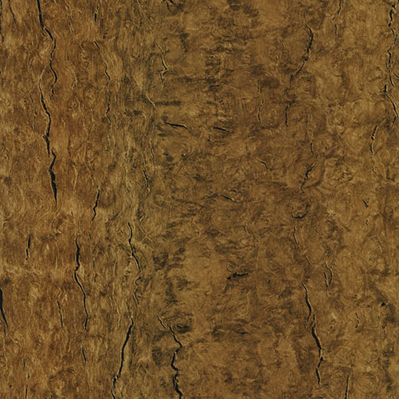 WB005 Caramel Eucalyptus
