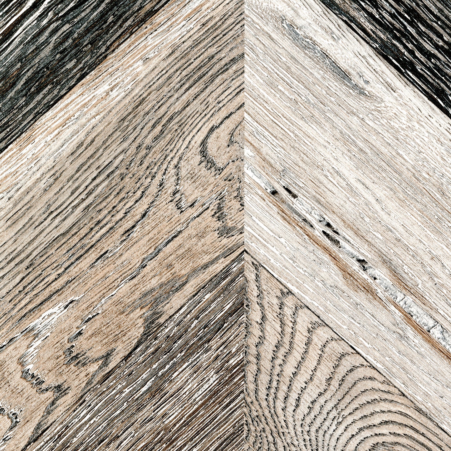 WC141 Earth Plank