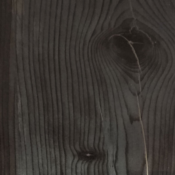 WC446 Montana Black Pine