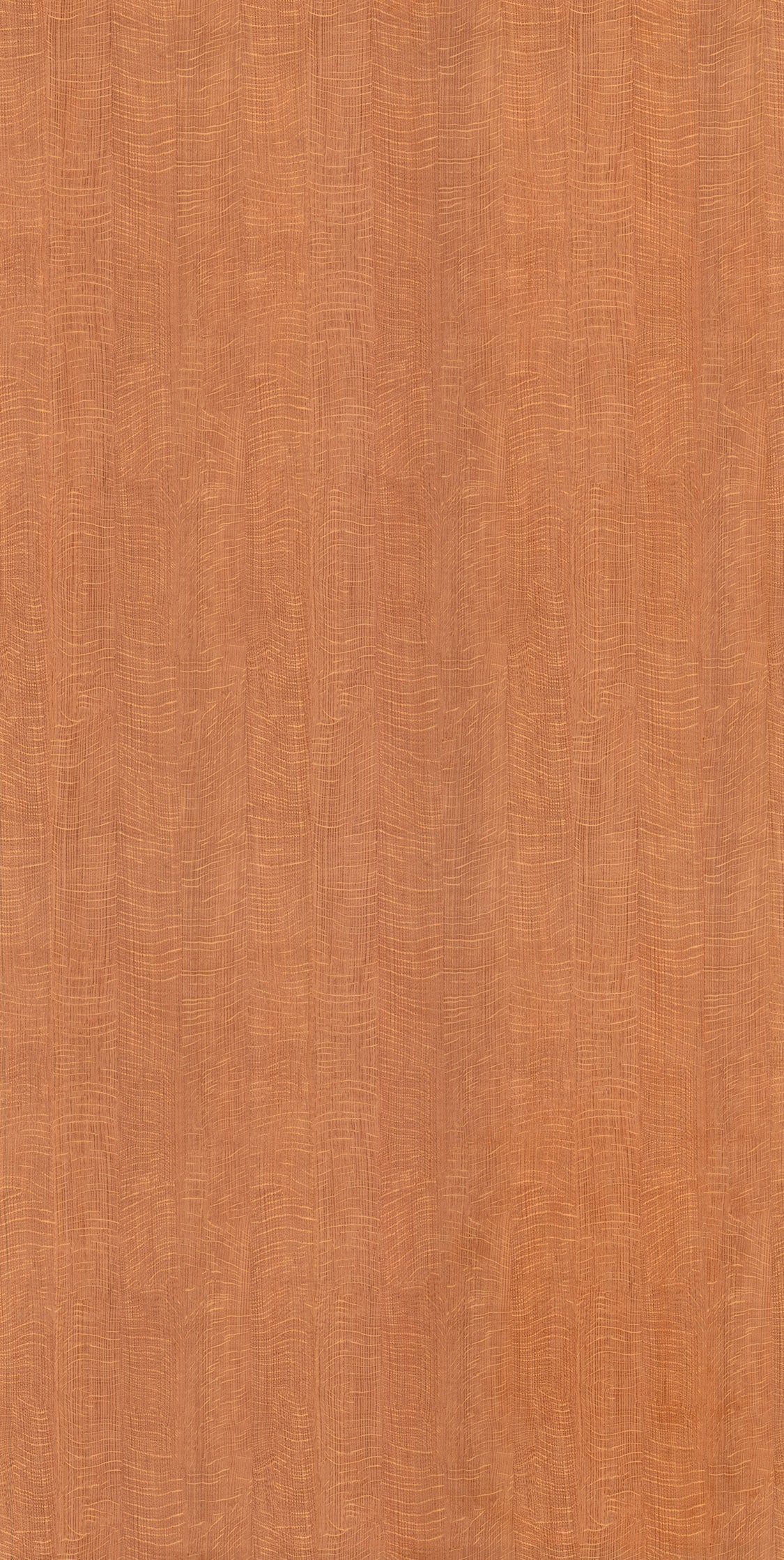 WC769 Mohave Peach