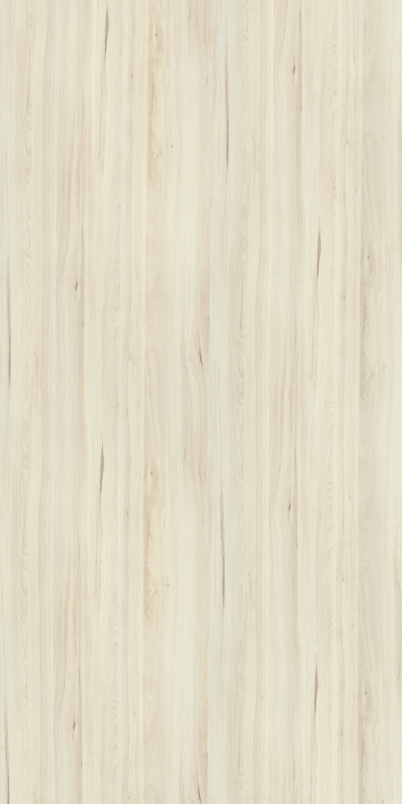 WG562 Blonde Wood