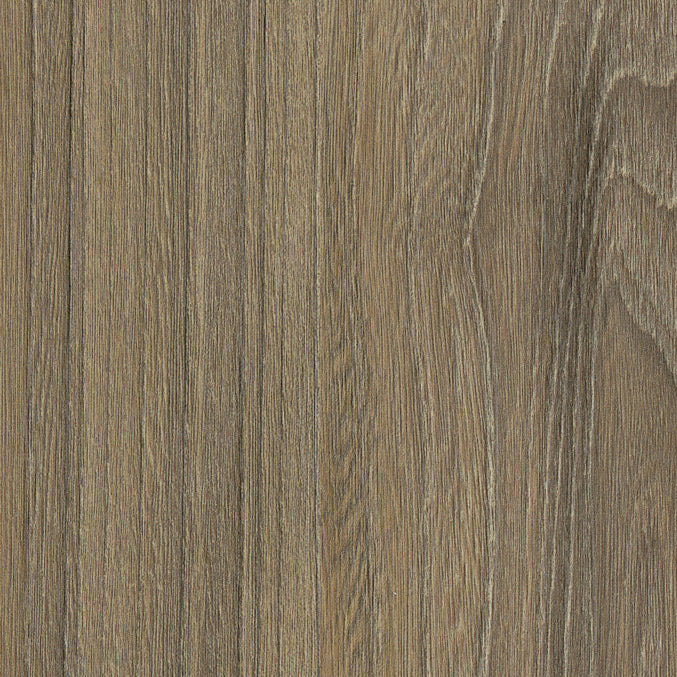 WG564 Impressive Elm