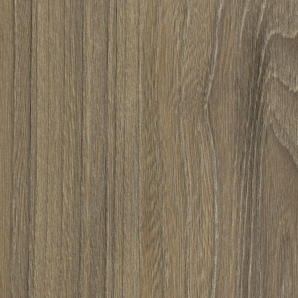 WG564 Impressive Elm