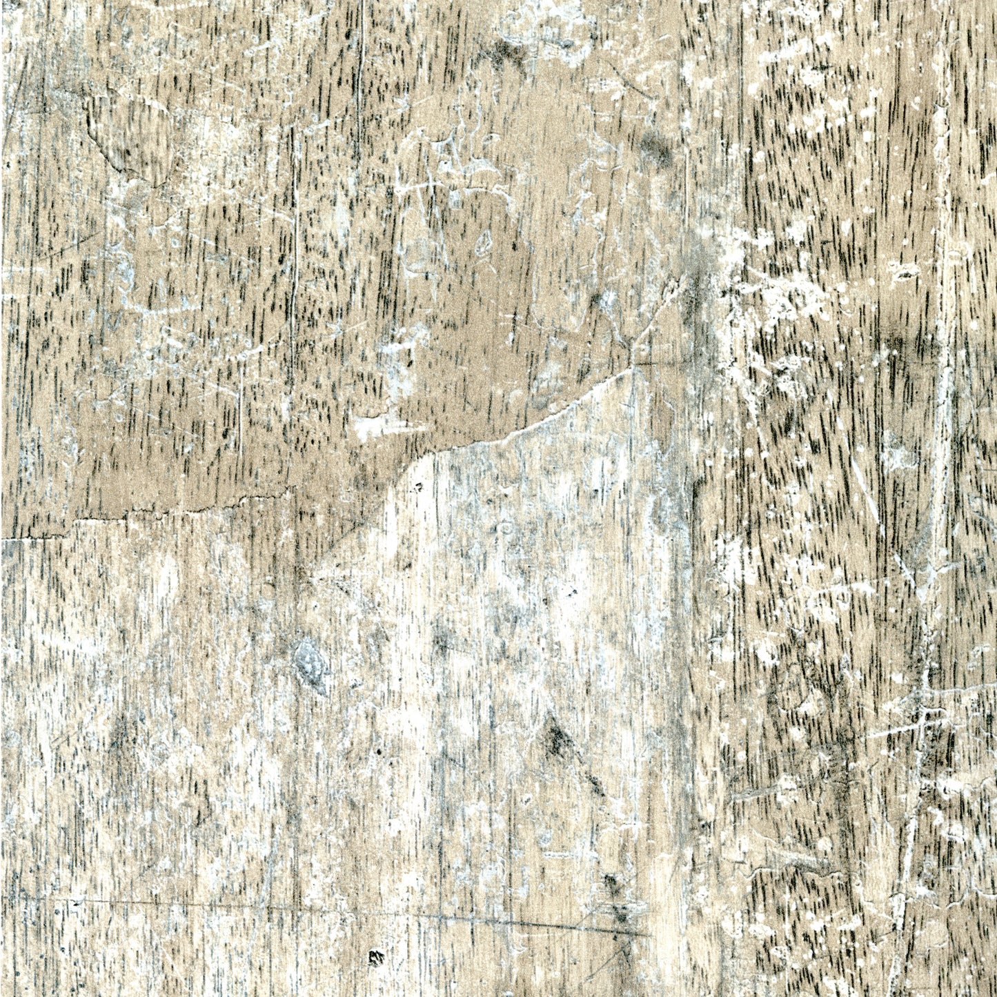 WM160 Summer Forest Wood
