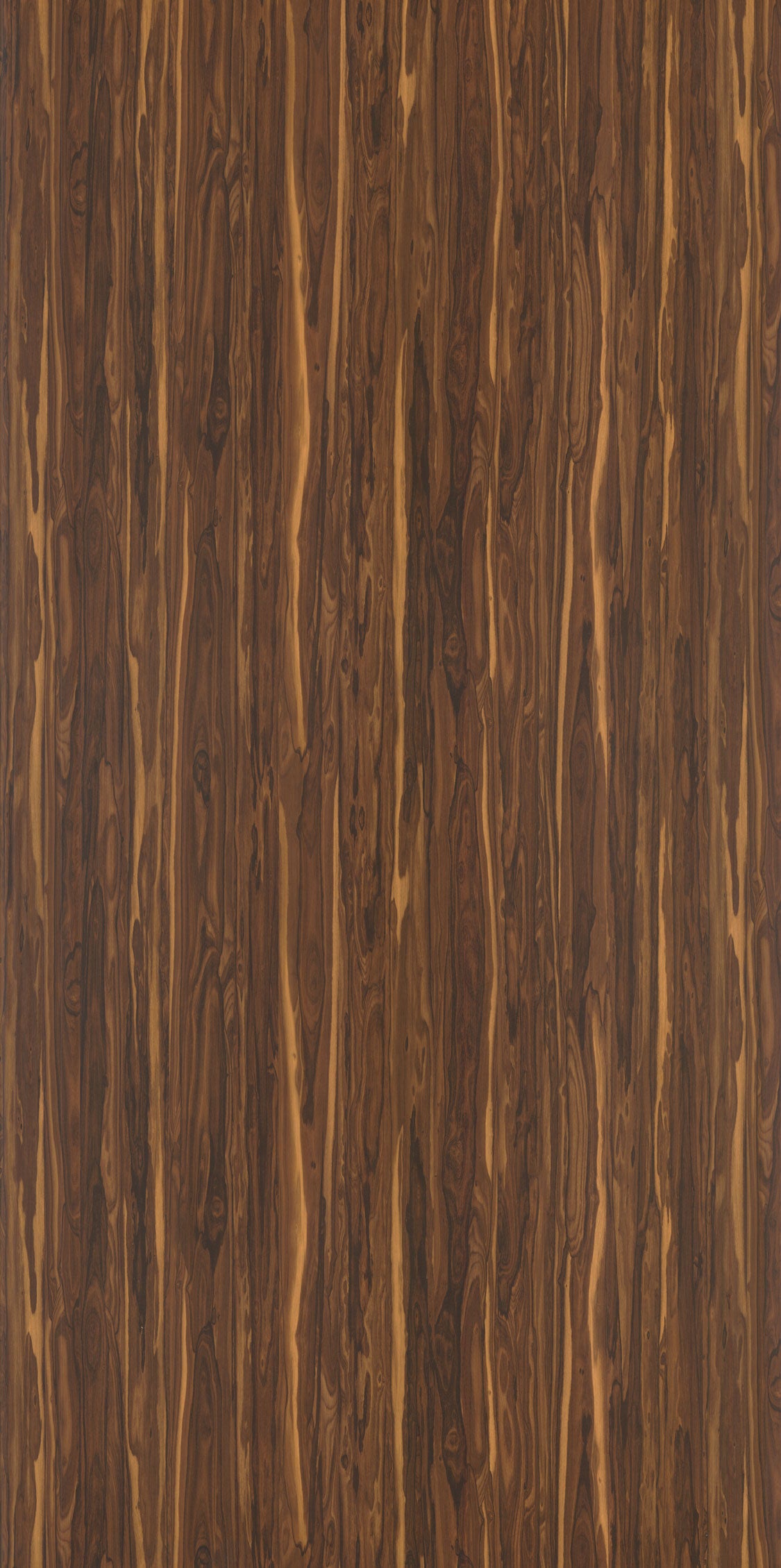WO909 Zericote Silk