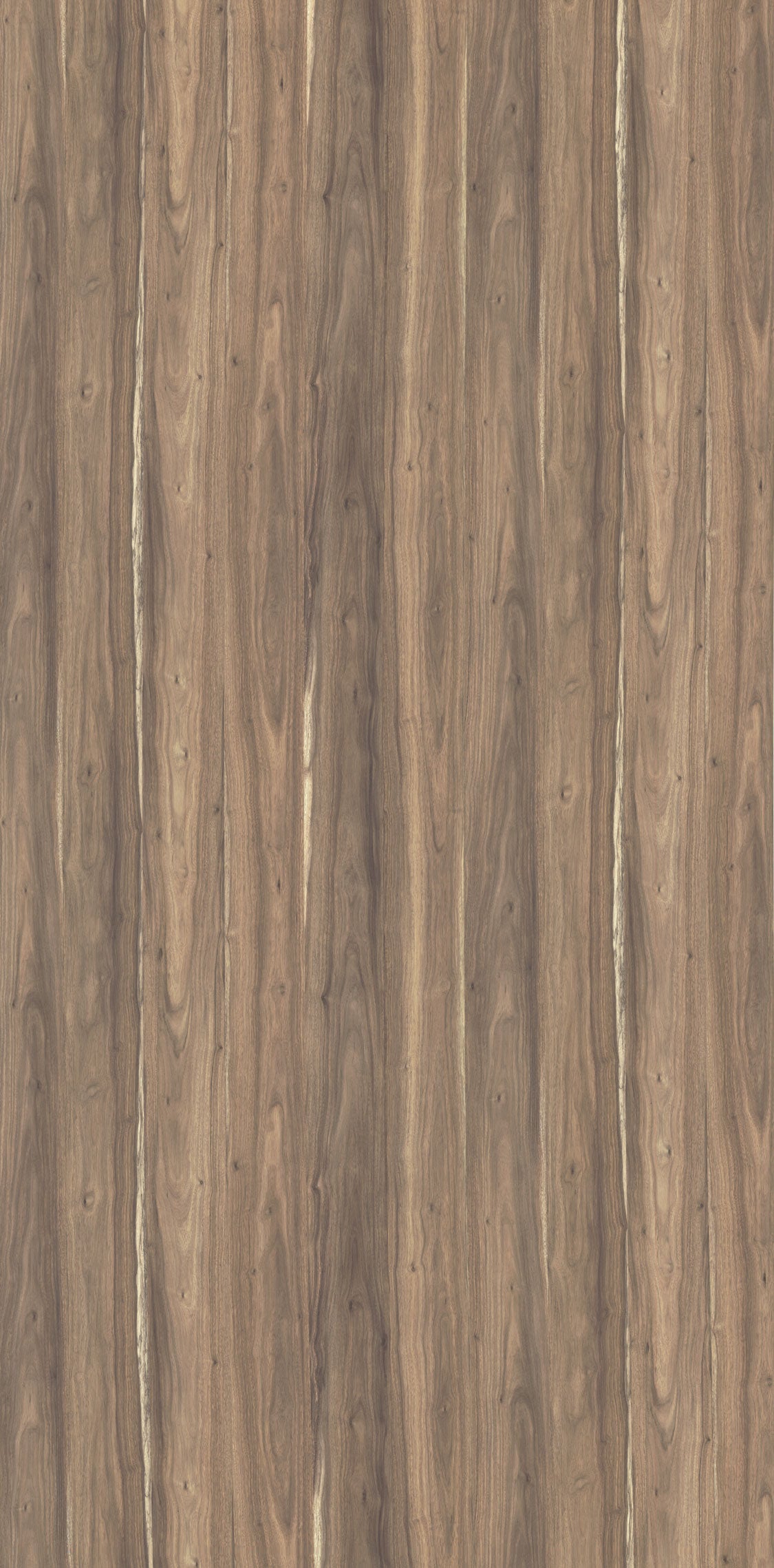 WO913 Quiet Wood