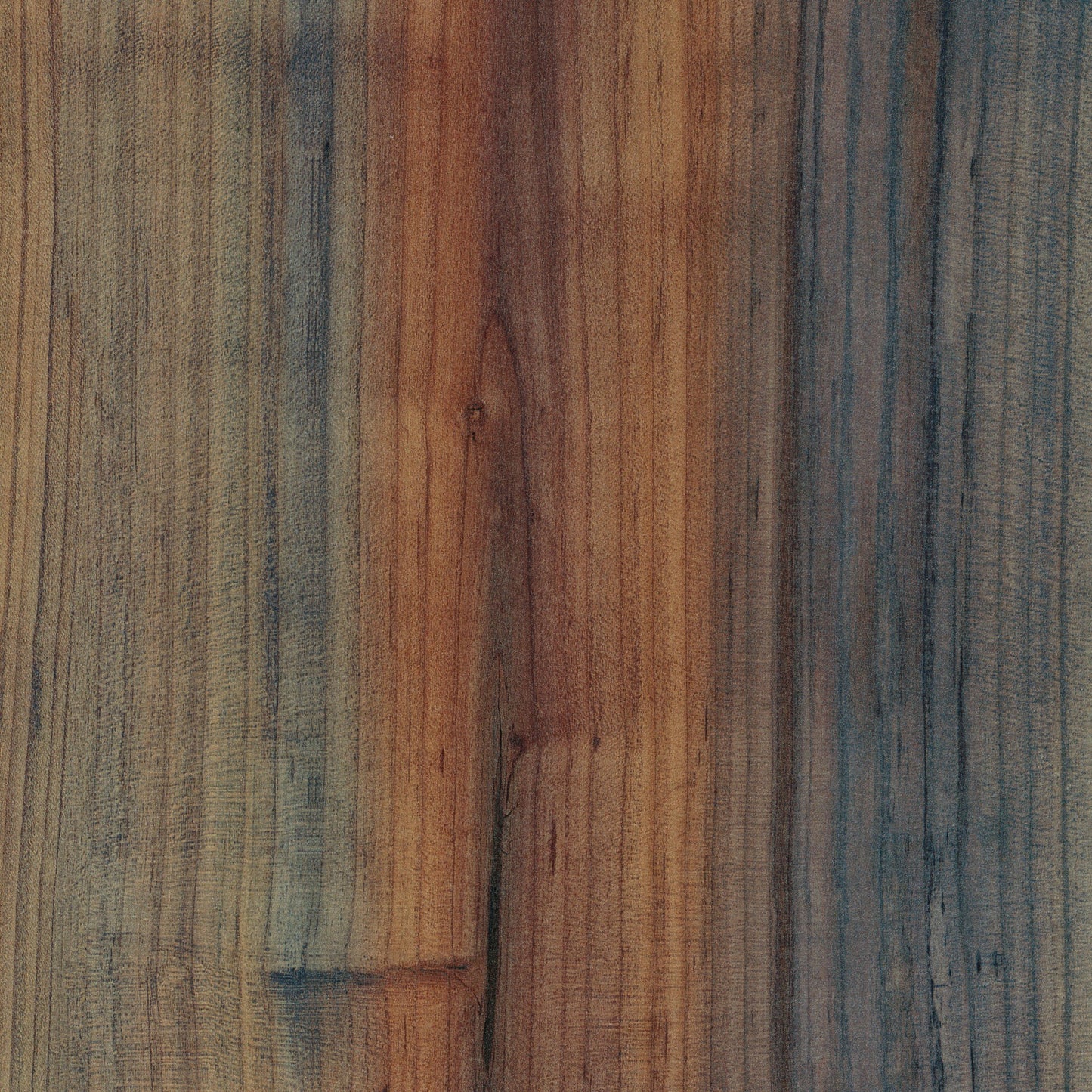 WP325 Rainbow Forest