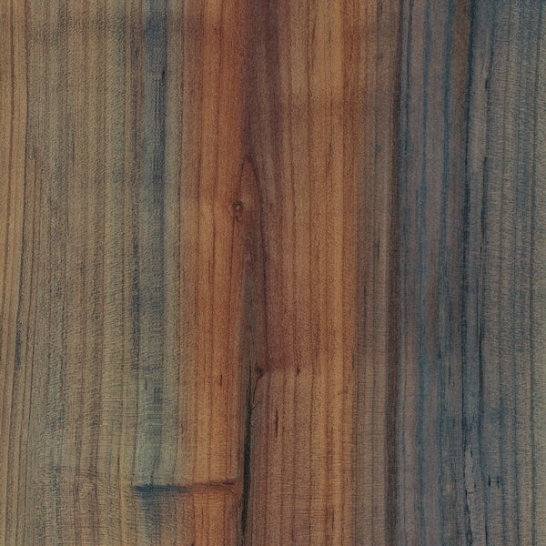 WP325 Rainbow Forest