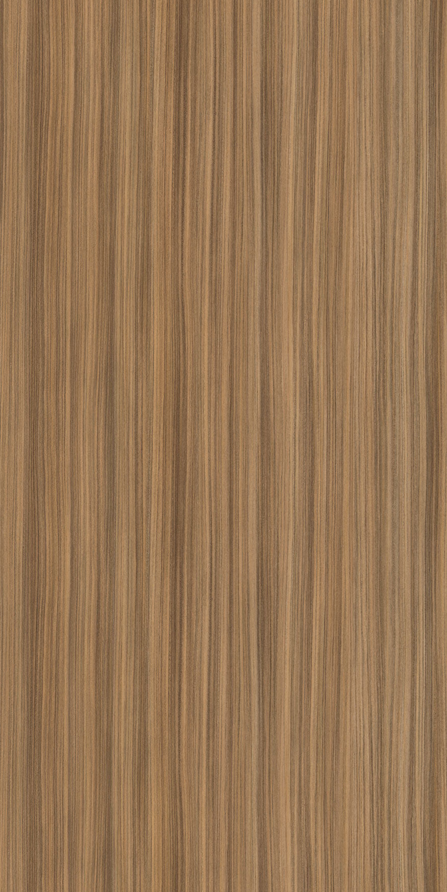 WR545 Texas