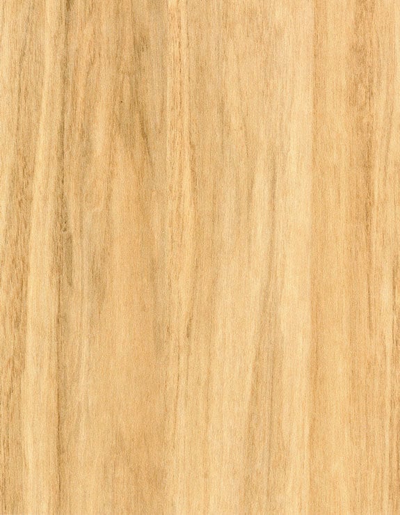 WS223 Amber Wood