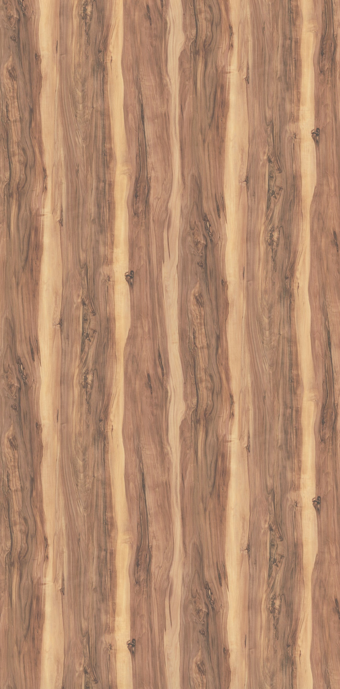 WS636 Pristine Cedar