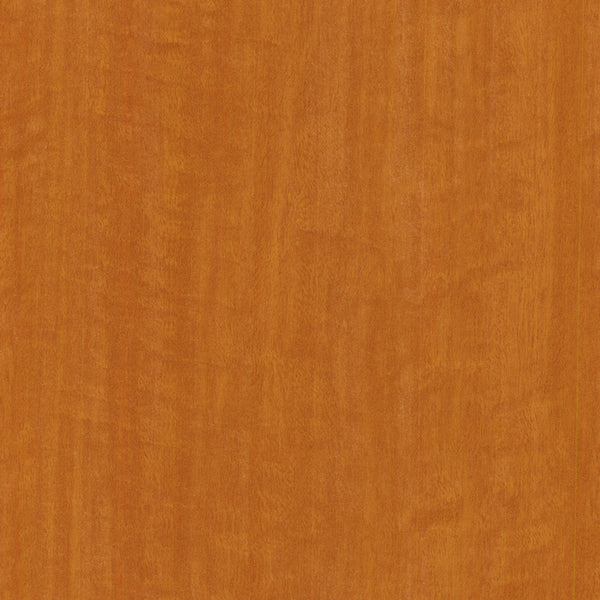 WX081 Ginger Eucalyptus