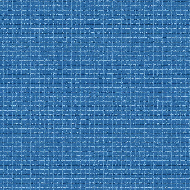 DP592 Blue Net