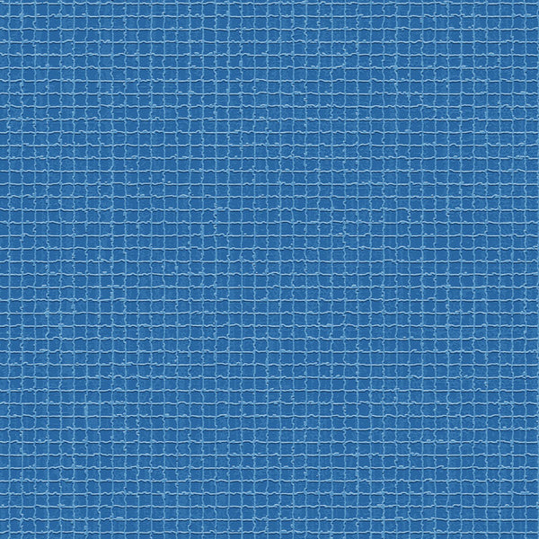 DP592 Blue Net