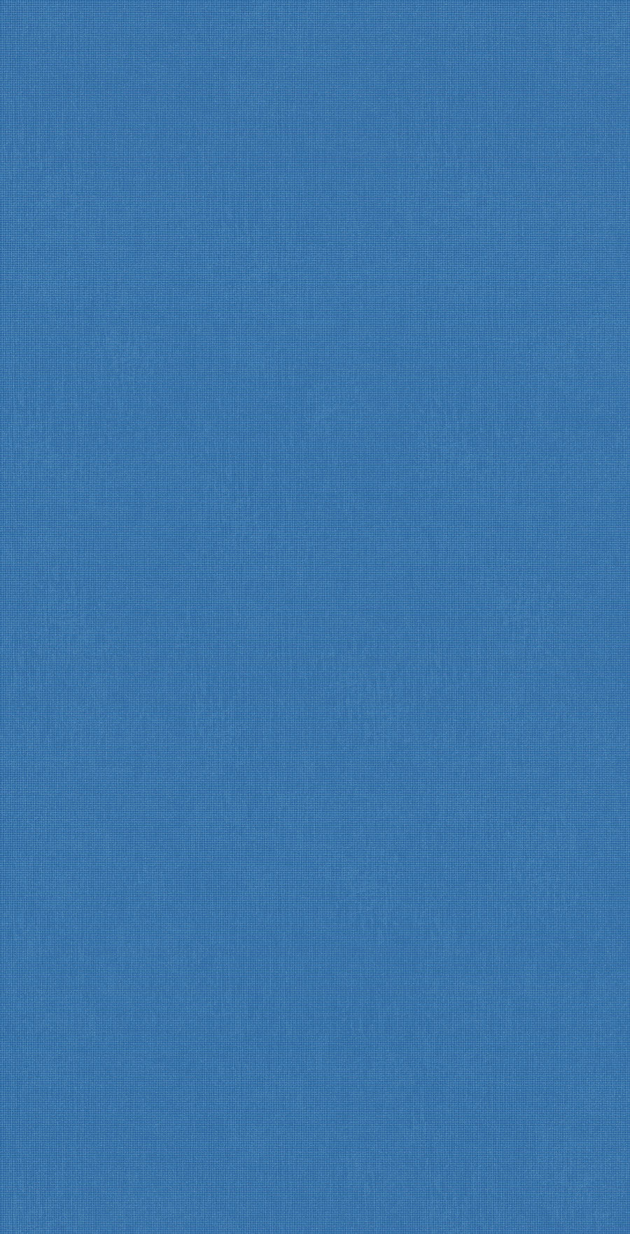 DP592 Blue Net
