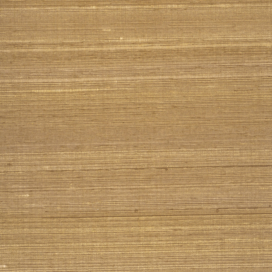 PT003 Nutmeg Cayman